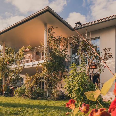 Coraline -Koblach, 6-10 P, 3 Schlafzimmer, Kueche, Riesige Terrasse, Parkplatz, Wifi, Stellplatz Ski エクステリア 写真